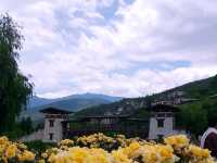 Cloud-Hopping at Dochula Pass, Views, Vibes & 108 Stupas