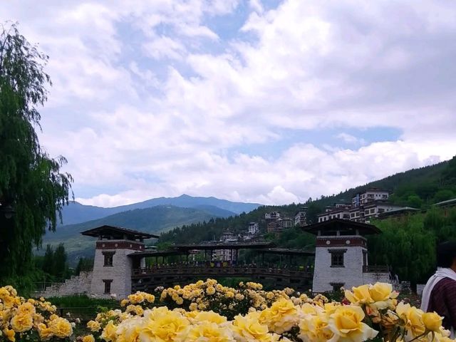 Cloud-Hopping at Dochula Pass, Views, Vibes & 108 Stupas