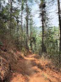 Thimphu Adventures Done Right