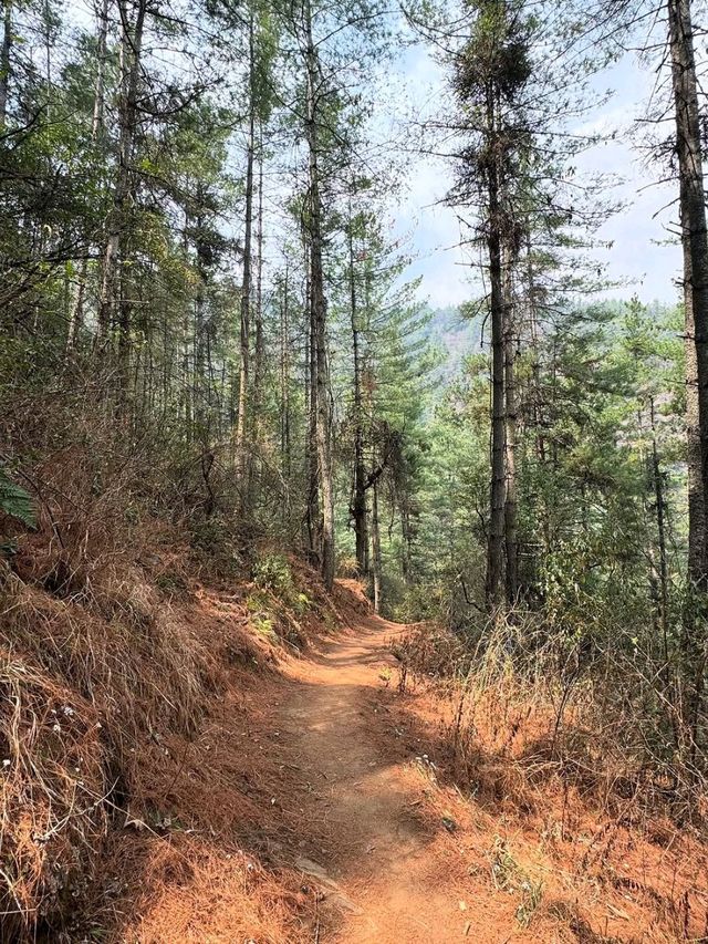 Thimphu Adventures Done Right