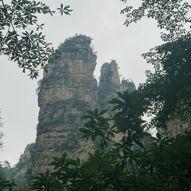 Rainy Days in Zhangjiajie