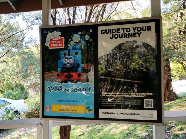 🚂 Puffing Billy Railway 行程时间指南