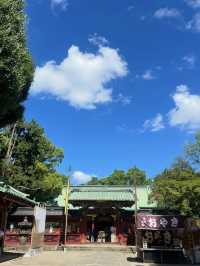 東京 根津神社 ⛩️🌿