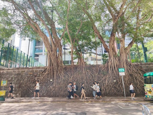 ถ่ายรูปถนนวิกตอเรีย
