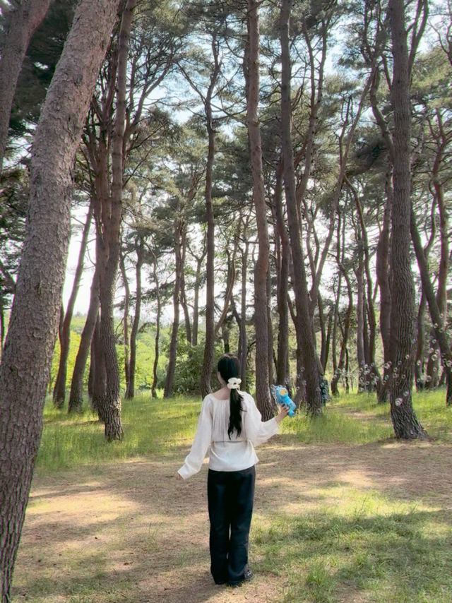 강원도 여행