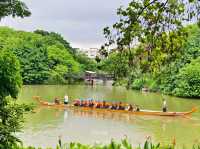 Paddles, Pulse, and Peace: Dragon Boating at Haizhu Lake