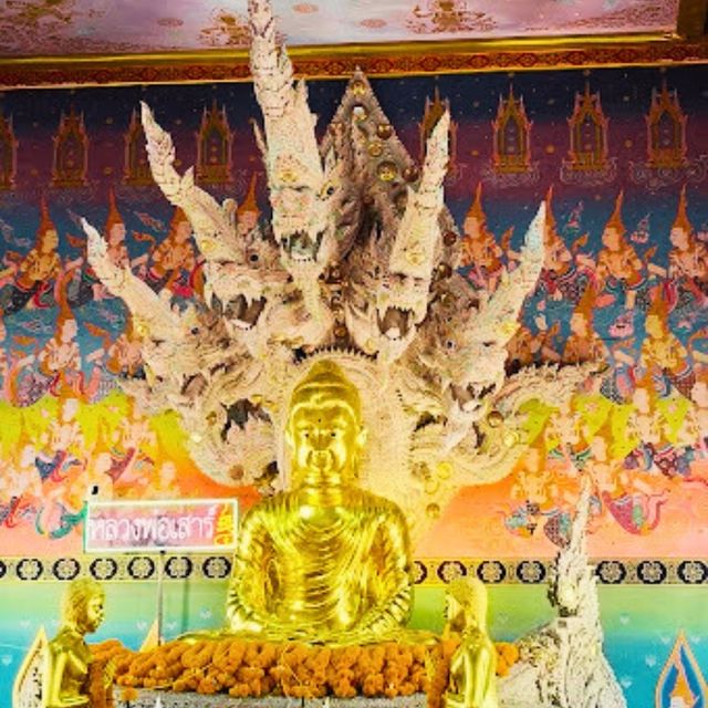 🌺วัดธรรมปัญญา