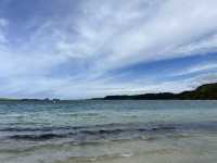 紐西蘭超讚景點—🏕 Pine Beach Campground｜背倚松林、面對湖灘的Northland原味露營地 