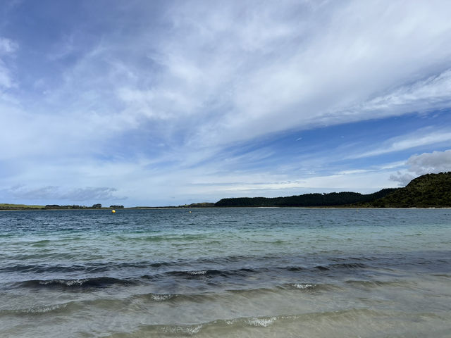 紐西蘭超讚景點—🏕 Pine Beach Campground｜背倚松林、面對湖灘的Northland原味露營地 