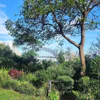 Wendy Whiteley’s Secret Garden