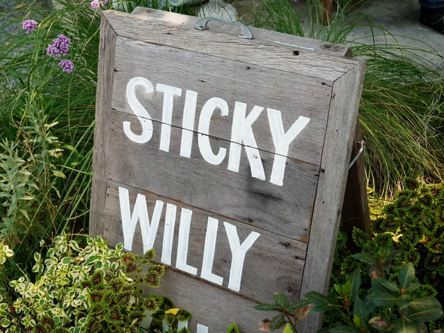Sticky​ Willy​ House คาเฟ่ชาลับๆกลางเมืองโคราช