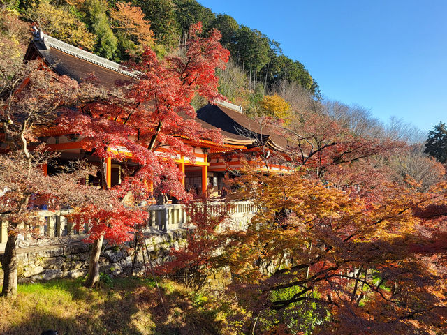 四季巡禮清水寺：京都名剎之美與儀式之心