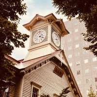 🌸 Solo Summer Stroll: Sapporo City Center – Cool Hokkaido Exploration