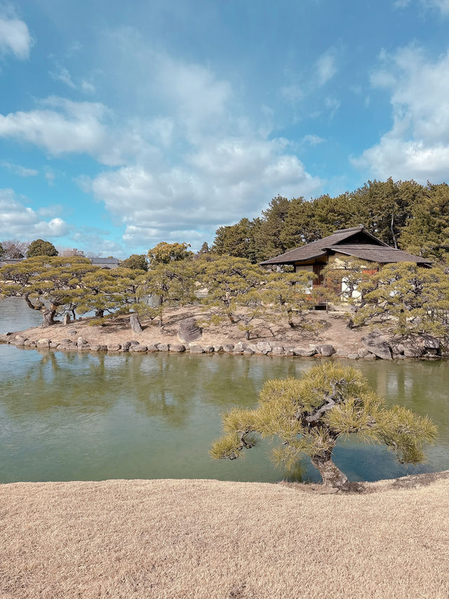 岡山後樂園🇯🇵！日本三大庭園之一！📸 靚爆！