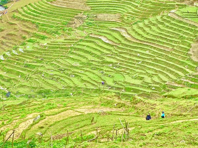 Lao Chai is a hidden paradise that touched my heart deeply👫😎😍