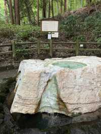 茨城県必遊 日本三大名園 夏日的偕樂園