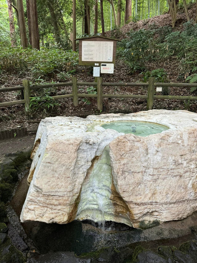 茨城県必遊 日本三大名園 夏日的偕樂園