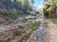 Chasing Waterfalls (and Vibes) on the Ruta del Agua