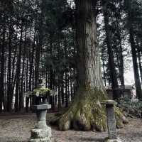 Kitaguchi Hongu Fuji Sengen Shrine