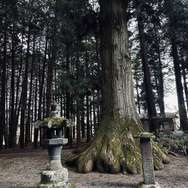 Kitaguchi Hongu Fuji Sengen Shrine
