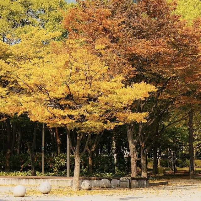 Seoul Forest Park: The Ultimate Urban Oasis for Solo Explorers"** 🌳🏙️ 