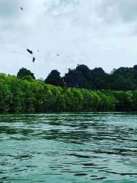 Cruising Through Nature’s Secret Labyrinth