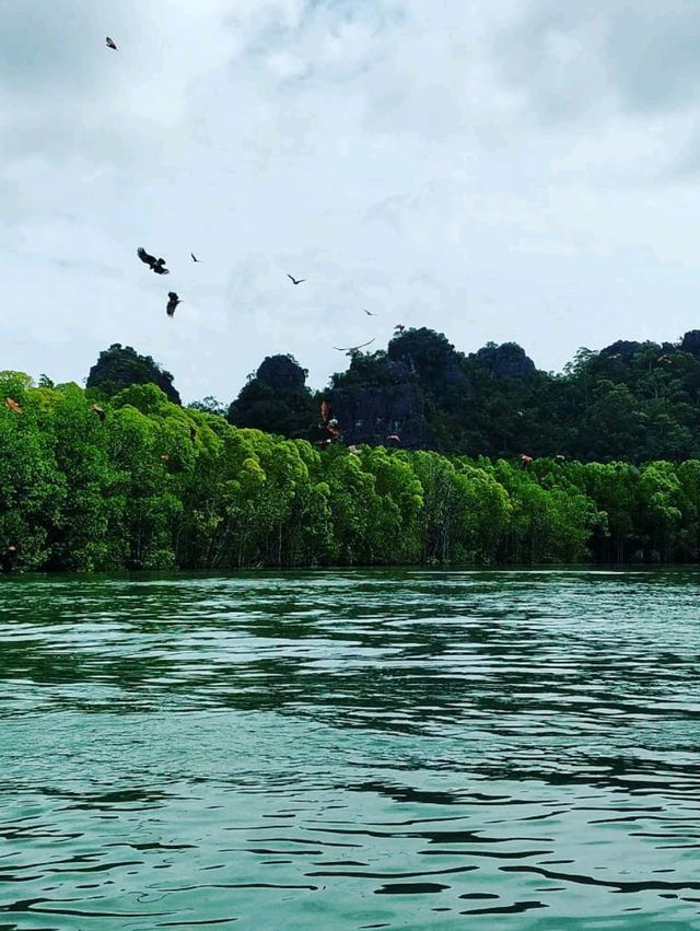 Cruising Through Nature’s Secret Labyrinth