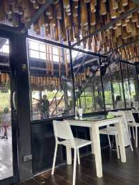 Bangkok Tree House บางกระเจ้า