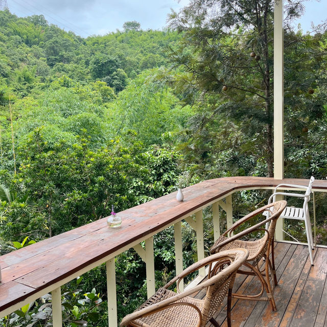 คาเฟ่น่ารักๆ เขาค้อ 🧸🌼🌳