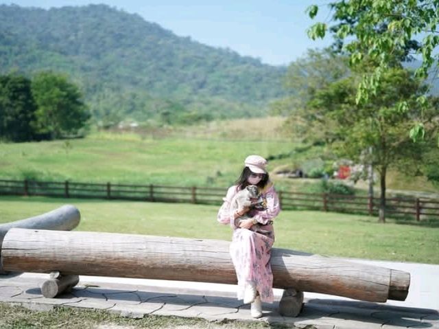 อัลปาก้าฮิลล์ สวนผึ้ง