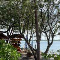 📍 The PlayYard Phuket – คาเฟ่ริมทะเลสไตล์แคมป์ปิ้