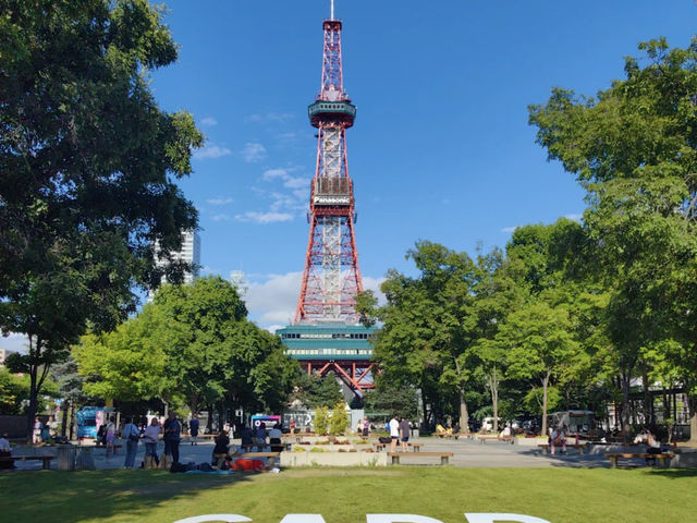Summer in Hokkaido: A Whirlwind Tour of Sapporo! 🌸🏙️
