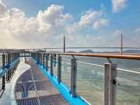 Mokpo Skywalk: Walking on Air Above Korea’s Southern Coast"** 🌊🌉   