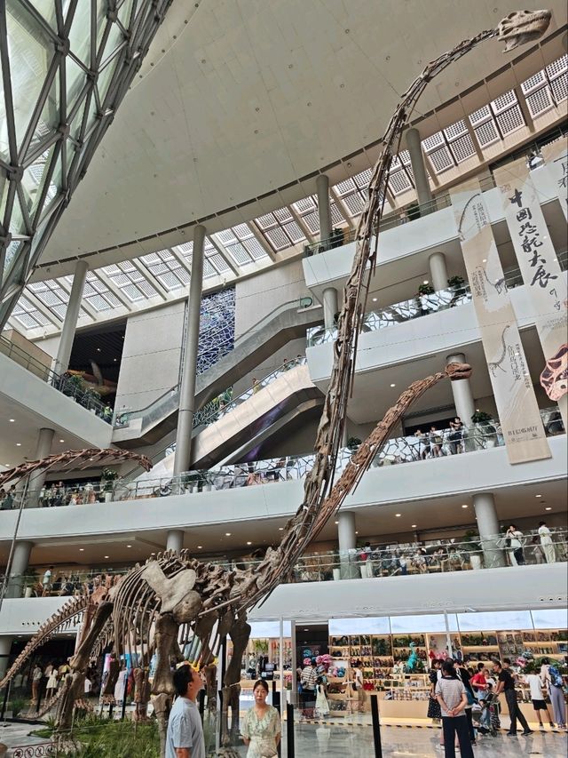 上海親子旅行最值得來的地方，雨天備案也很合適喔