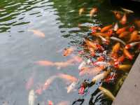 People's Park – Chengdu’s Living Room