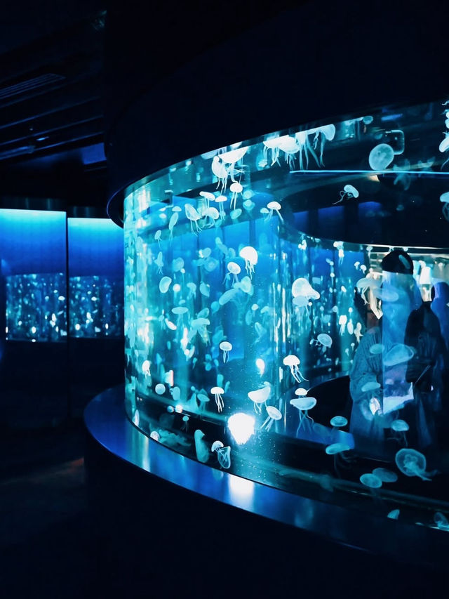 【京都水族館】街中で出会う海の世界🐬癒しと驚きが詰まった都市型水族館