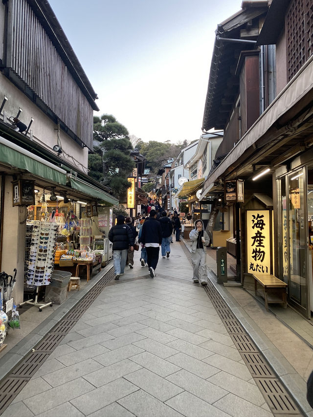 Tokyo Day Trip Idea - Kamakura and Enoshima 