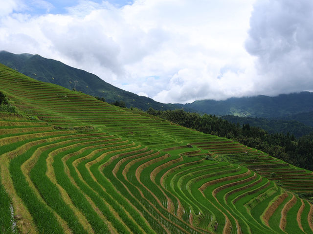 Beautiful Longji 