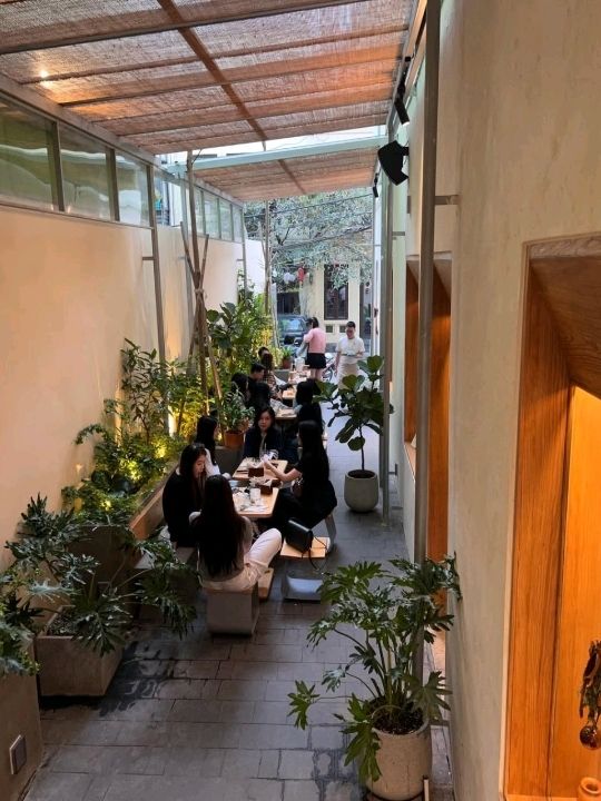 Aramour Coffee Roasters