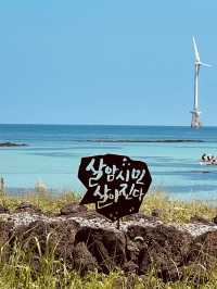 A Unique Celebration of Jeju's Iconic Stone Walls