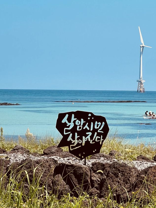A Unique Celebration of Jeju's Iconic Stone Walls