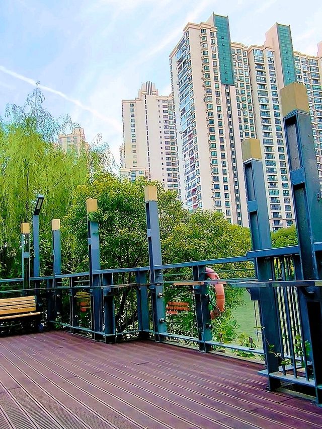 ✨ “City Oasis: Changshou Park’s 24/7 Urban Sanctuary”