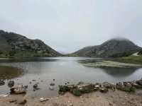 Clouds, Cows & Crazy Views at Lagos de Covadonga
