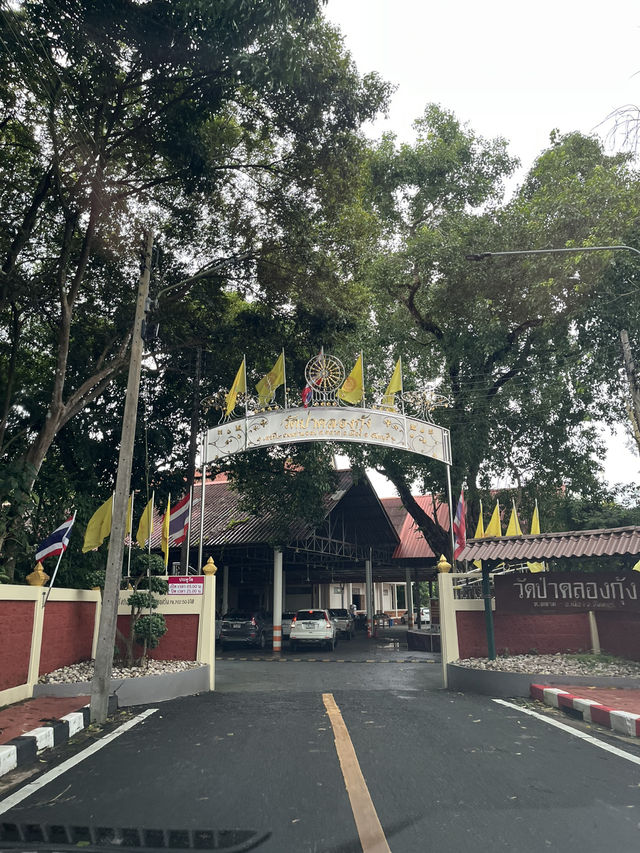วัดป่าในเมือง พักจิตเบาๆ ที่วัดป่าคลองกุ้ง จันทบุรี