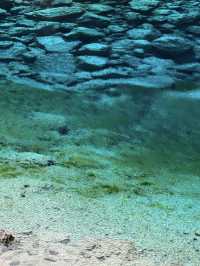 Five-Color Pond:Jiuzhaigou’s Liquid Kaleidoscope 