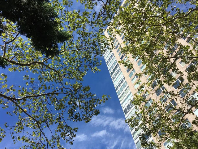 紐約之旅 紐約愛樂 林肯中心