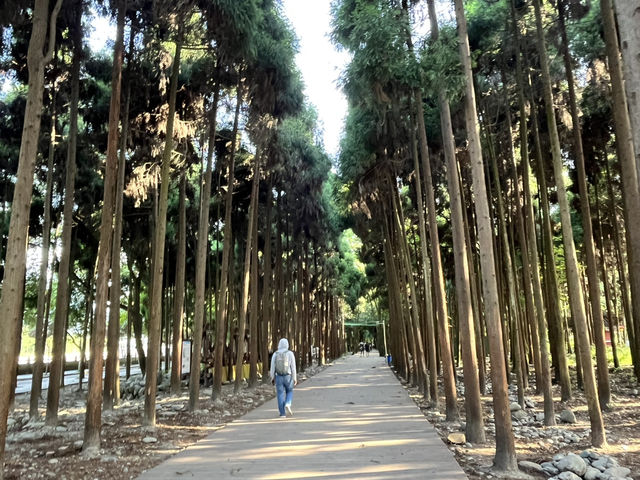 🌿 Escape to Dujiangyan 都江堰 — Where Nature, History & Serenity Meet