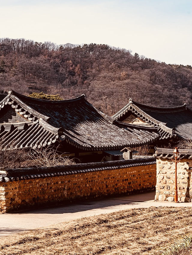 🏯✨ *Nampyeong Moon Clan’s Historic Residence (남평 문씨 본리 고택): A Journey to Joseon-Era Nobility* 🌿📜