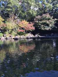 🍁紅葉と異国の風景を歩く秋の横浜散歩　中区　関内　横浜