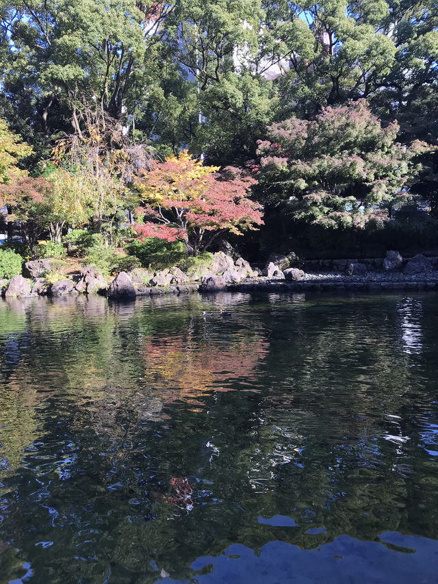 🍁紅葉と異国の風景を歩く秋の横浜散歩　中区　関内　横浜